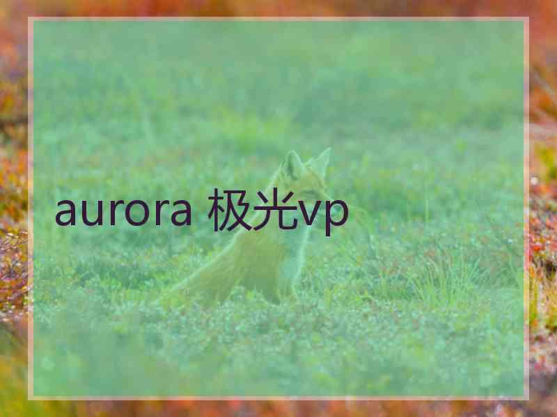 aurora 极光vp
