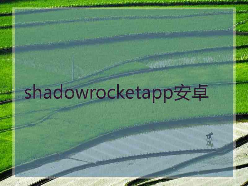 shadowrocketapp安卓