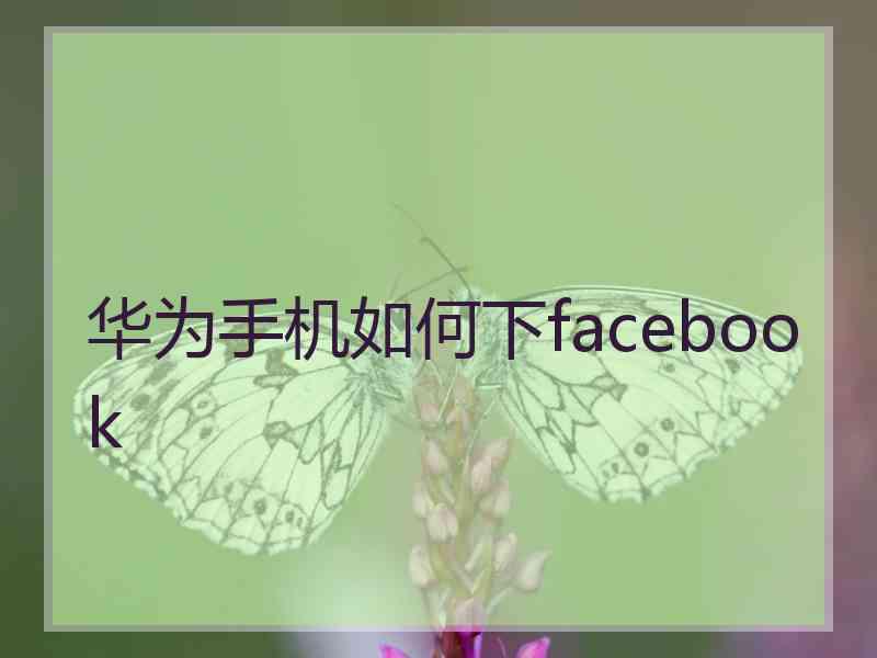 华为手机如何下facebook