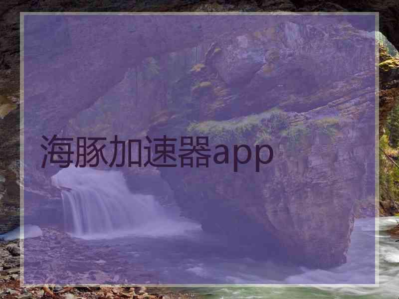 海豚加速器app
