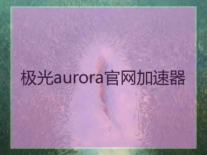 极光aurora官网加速器