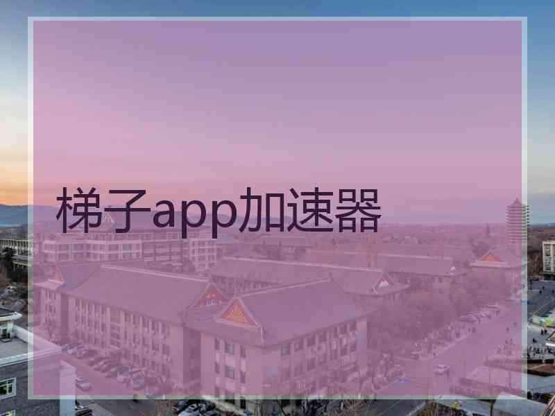 梯子app加速器