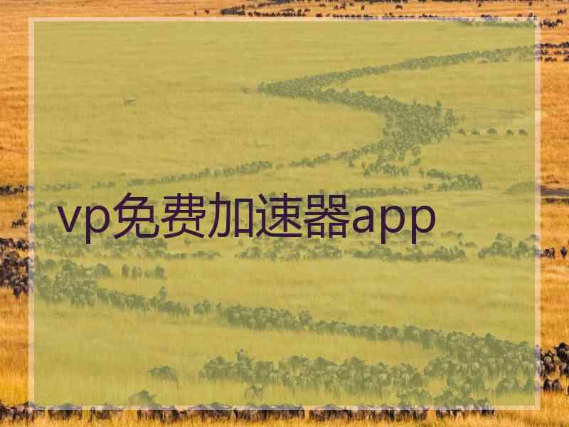 vp免费加速器app