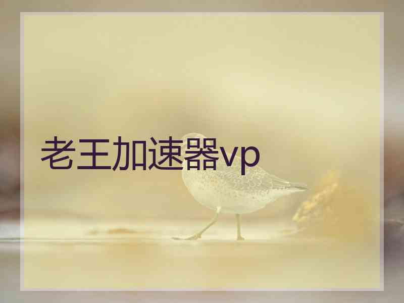 老王加速器vp