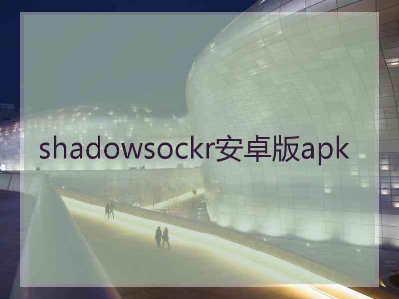 shadowsockr安卓版apk