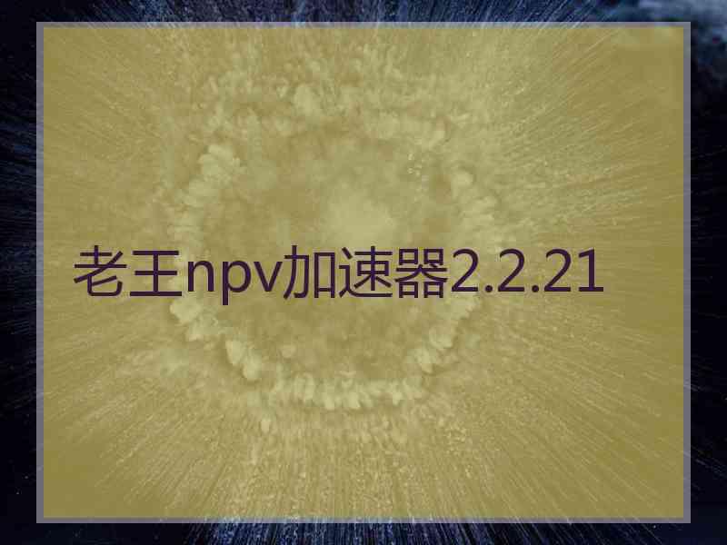 老王npv加速器2.2.21