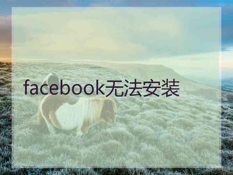facebook无法安装