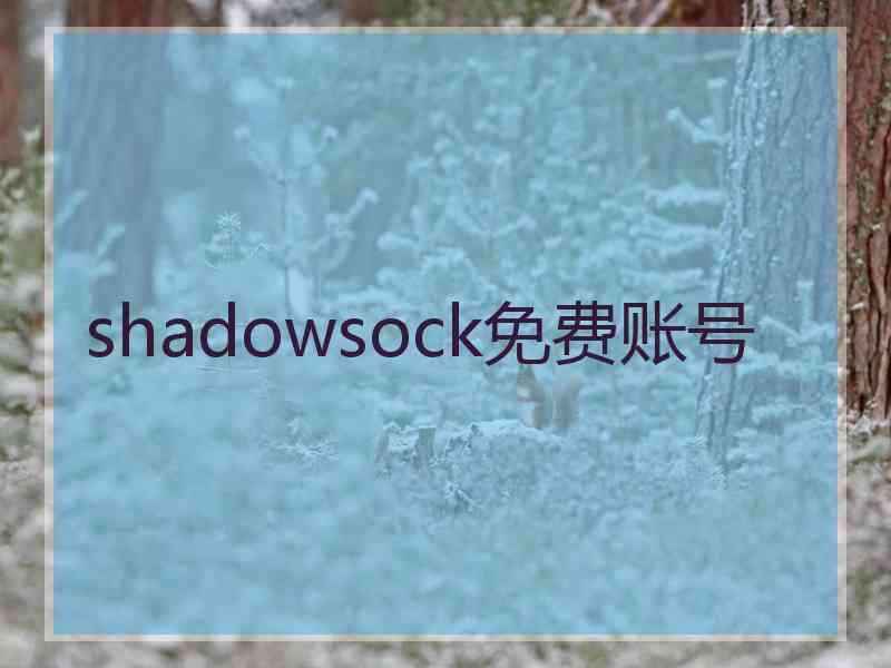 shadowsock免费账号