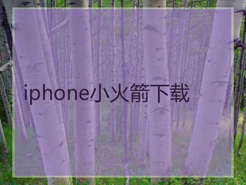 iphone小火箭下载