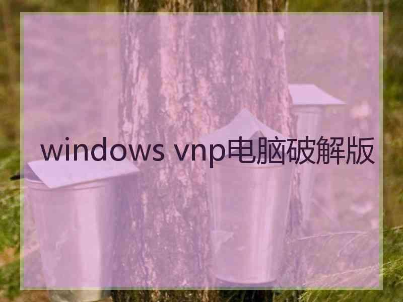 windows vnp电脑破解版