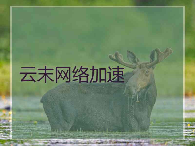 云末网络加速