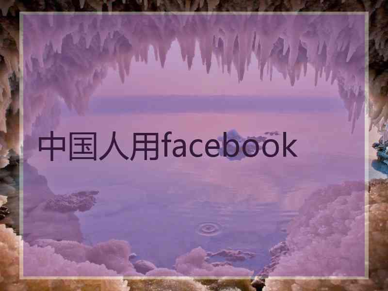 中国人用facebook