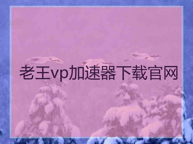 老王vp加速器下载官网