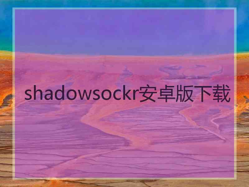 shadowsockr安卓版下载