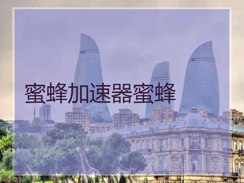 蜜蜂加速器蜜蜂