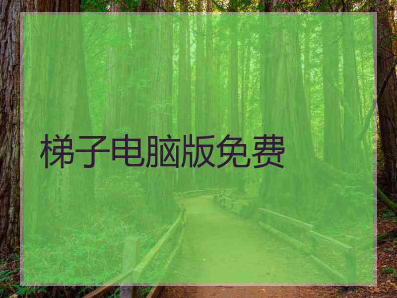 梯子电脑版免费