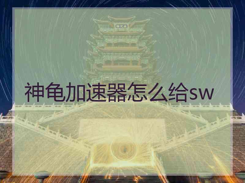 神龟加速器怎么给sw