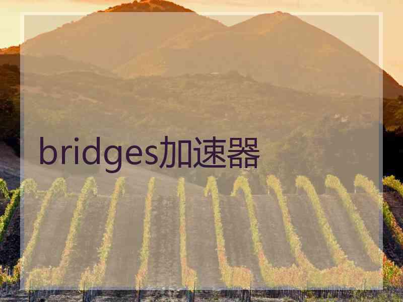 bridges加速器