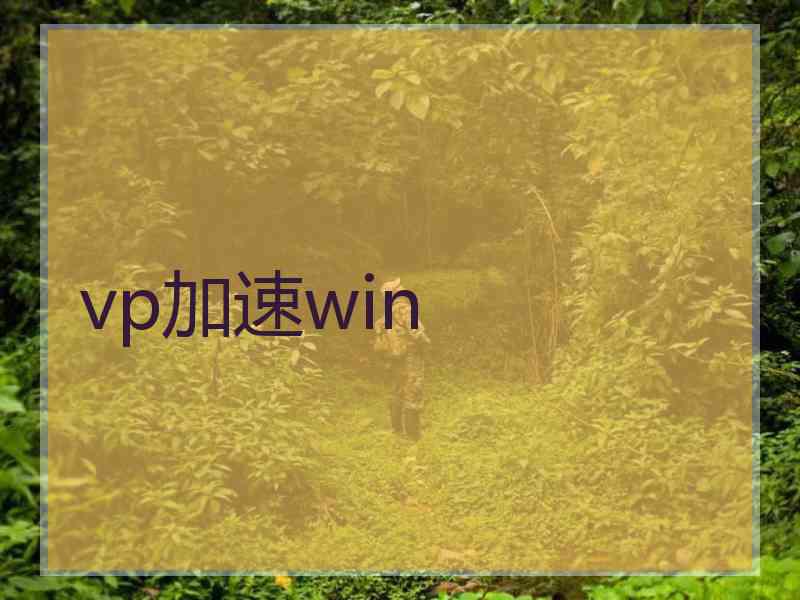 vp加速win