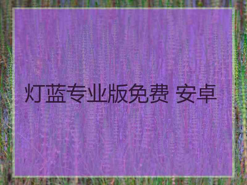 灯蓝专业版免费 安卓