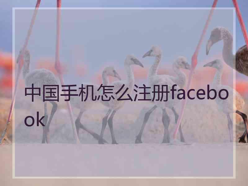中国手机怎么注册facebook