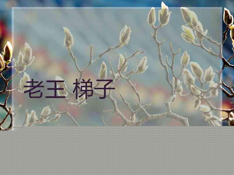 老王 梯子