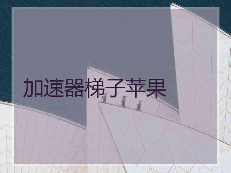 加速器梯子苹果