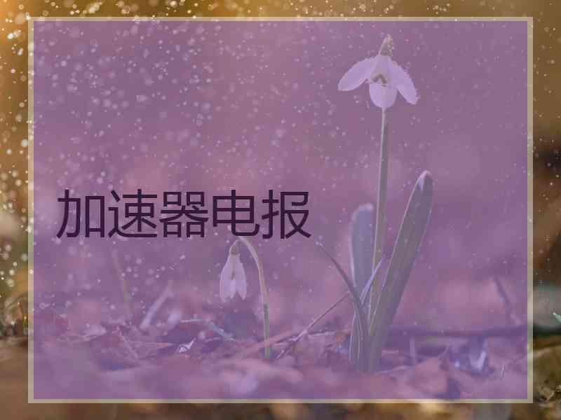 加速器电报