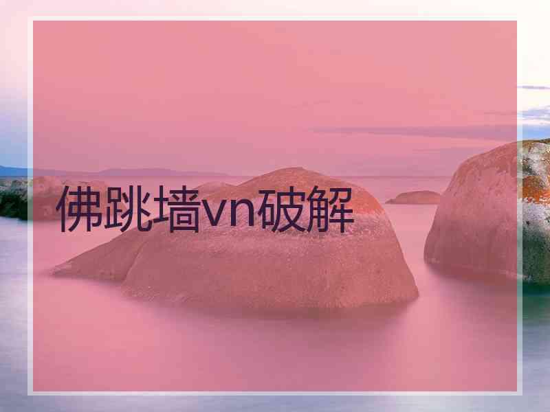 佛跳墙vn破解