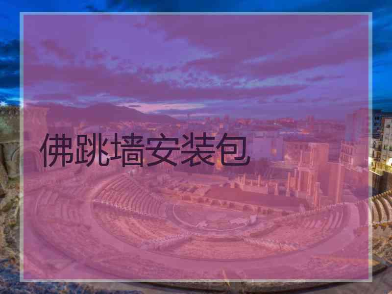 佛跳墙安装包