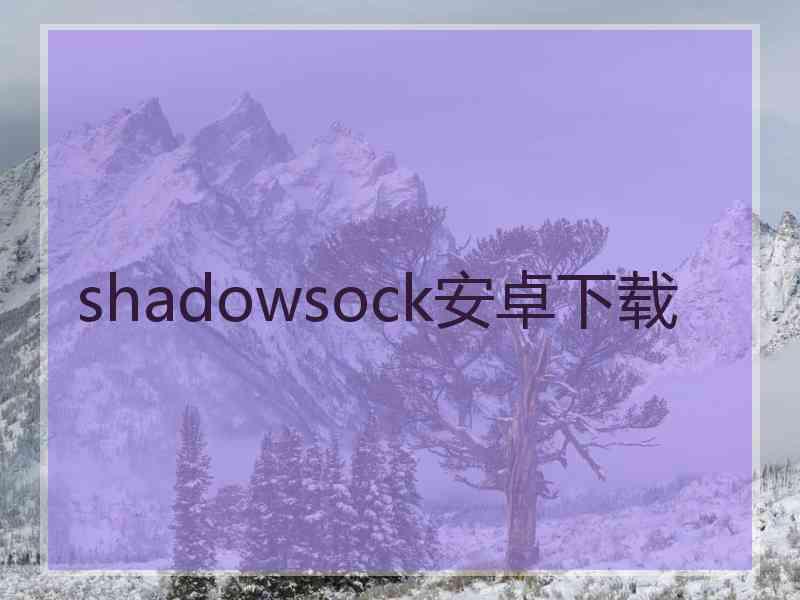 shadowsock安卓下载