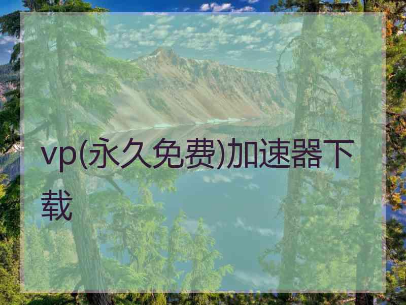 vp(永久免费)加速器下载