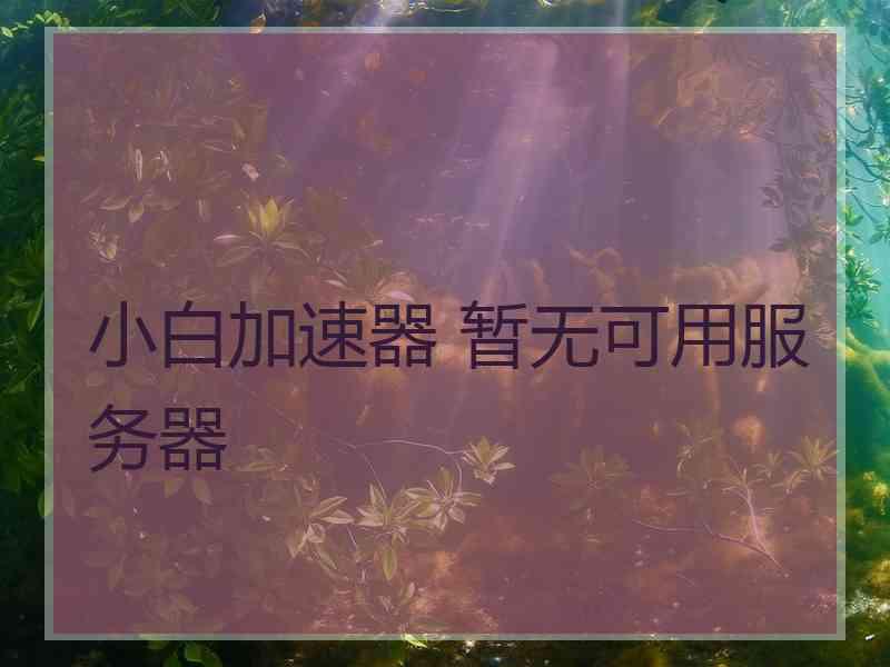 小白加速器 暂无可用服务器