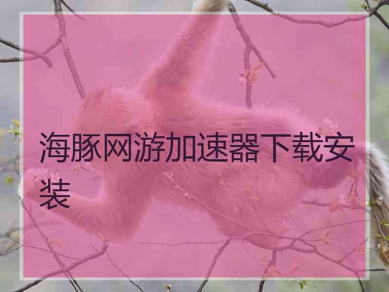 海豚网游加速器下载安装