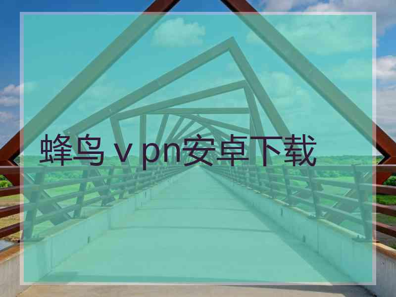 蜂鸟ⅴpn安卓下载