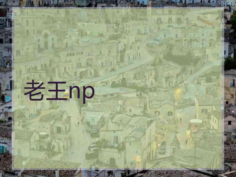 老王np