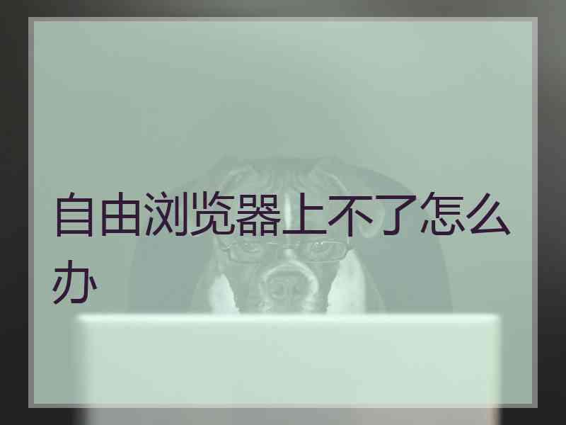 自由浏览器上不了怎么办