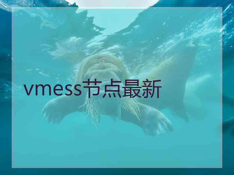 vmess节点最新