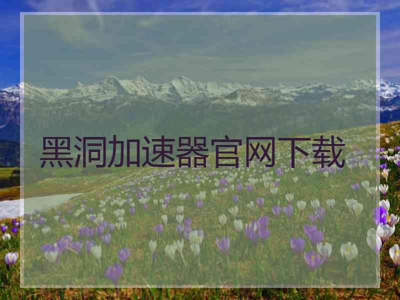 黑洞加速器官网下载