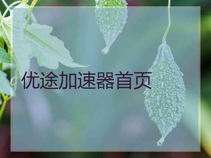 优途加速器首页