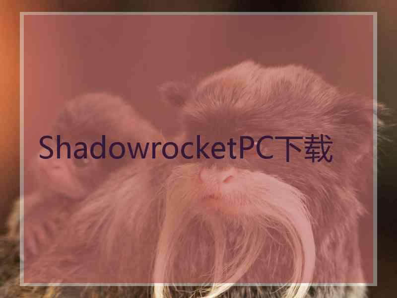ShadowrocketPC下载