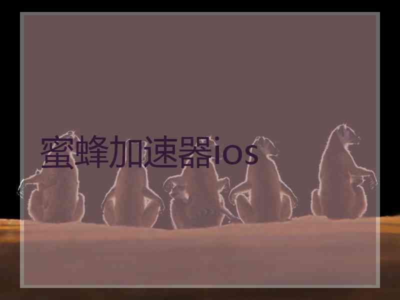 蜜蜂加速器ios