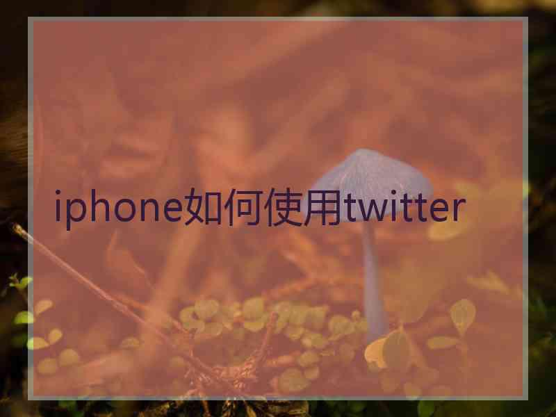 iphone如何使用twitter