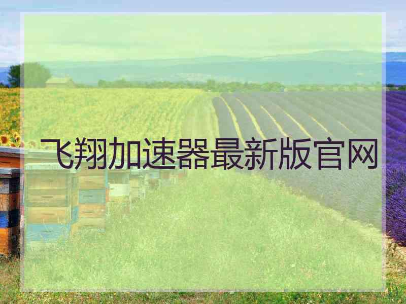 飞翔加速器最新版官网