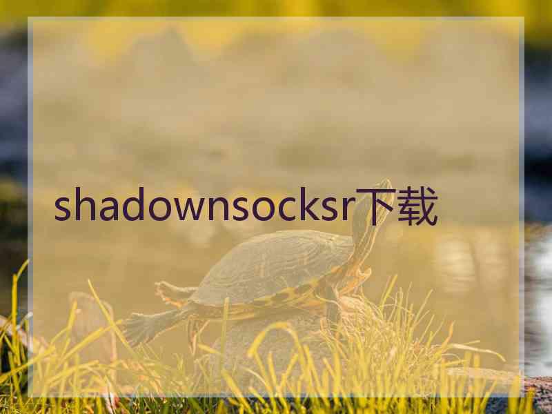 shadownsocksr下载