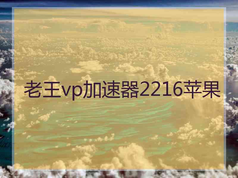 老王vp加速器2216苹果