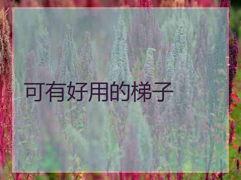 可有好用的梯子
