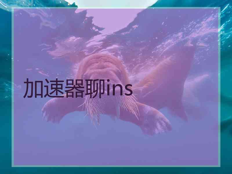 加速器聊ins