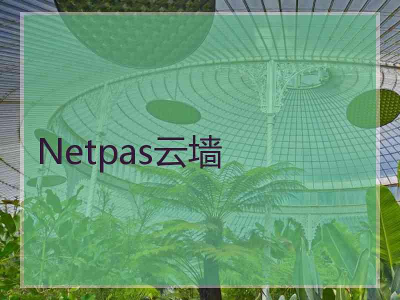 Netpas云墙