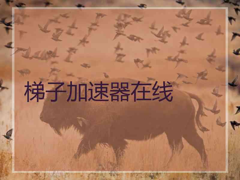 梯子加速器在线
